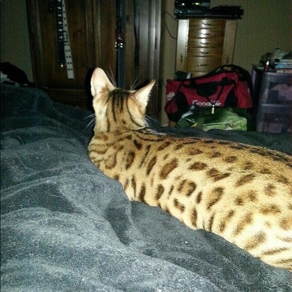 Meet your Posher, Shelley primeau - Picture 7 of 17